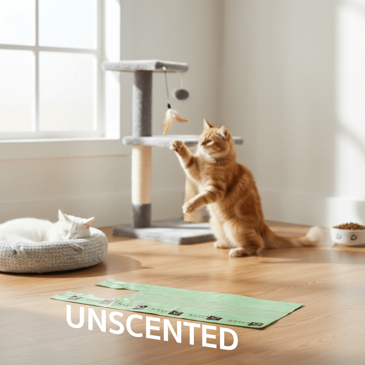 Large Cat Litter Bags – 10" x 20" with 7" Gusset & Handles | Heavy-Duty | Made in USA | beyondGREEN
