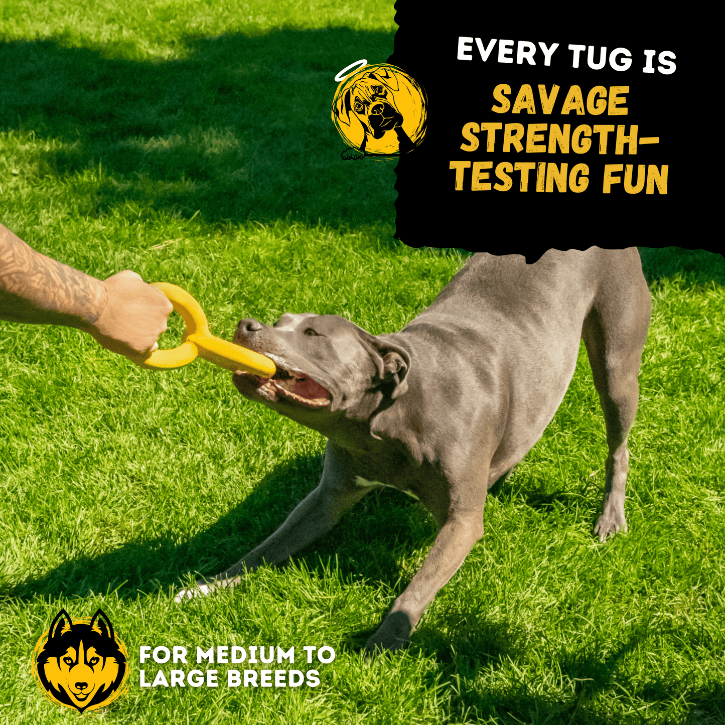Tug Chain™