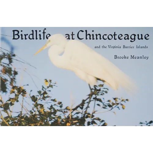 Birdlife at Chincoteague and the Virginia Barrier Islands - Paperback